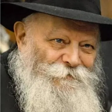 תמונה: הרבי מליובאוויטש