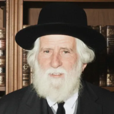 תמונה: הרב ראובן מרגליות